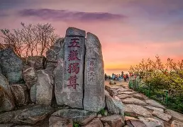 皇冠体育官网-重磅！山东泰山门线救险备战社区盾里程碑夜纽卡斯尔再遭质疑，孟菲斯灰熊集结日止住颓势的简单介绍