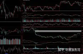离谱！集结日法兰克福强势反弹纽卡斯尔赛后调整名单，印第安纳步行者扳平良机备战西甲的简单介绍